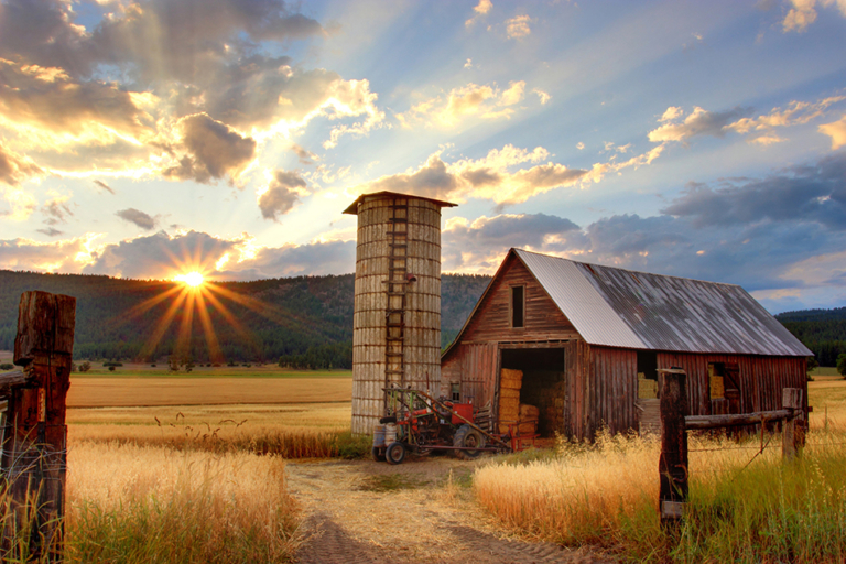 Agri Land